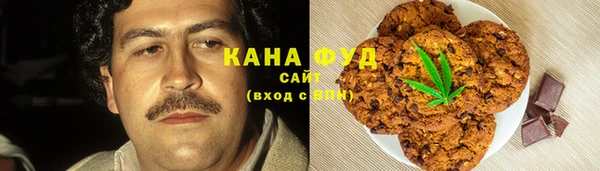 шишки Новодвинск