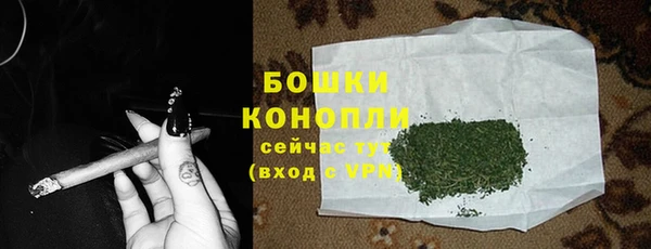шишки Новодвинск