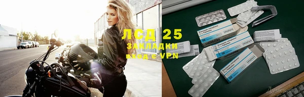 шишки Новодвинск