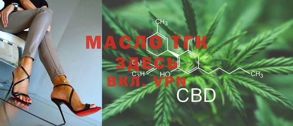 шишки Новодвинск
