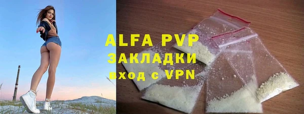 шишки Новодвинск