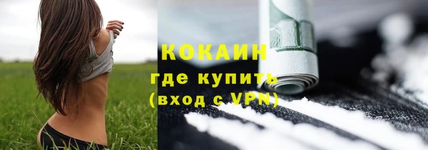 шишки Новодвинск