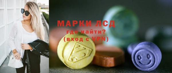 шишки Новодвинск