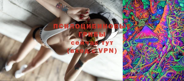 шишки Новодвинск