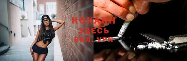 шишки Новодвинск
