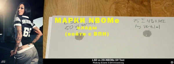 шишки Новодвинск