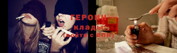 шишки Новодвинск