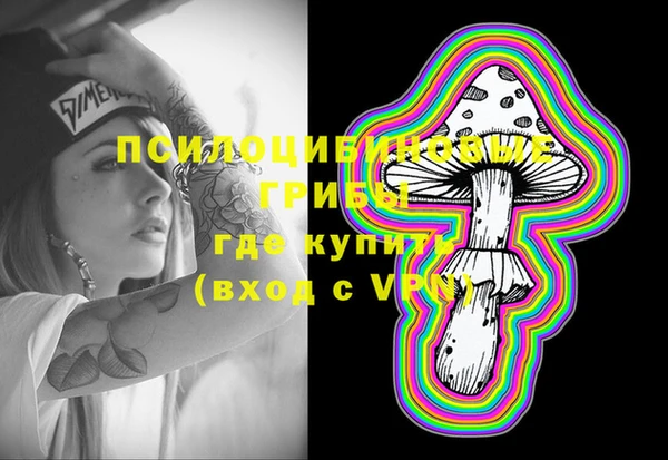 шишки Новодвинск