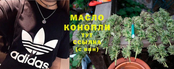 шишки Новодвинск