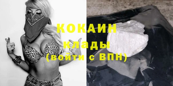 шишки Новодвинск