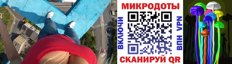 Псилоцибиновые грибы MAGIC MUSHROOMS Струнино